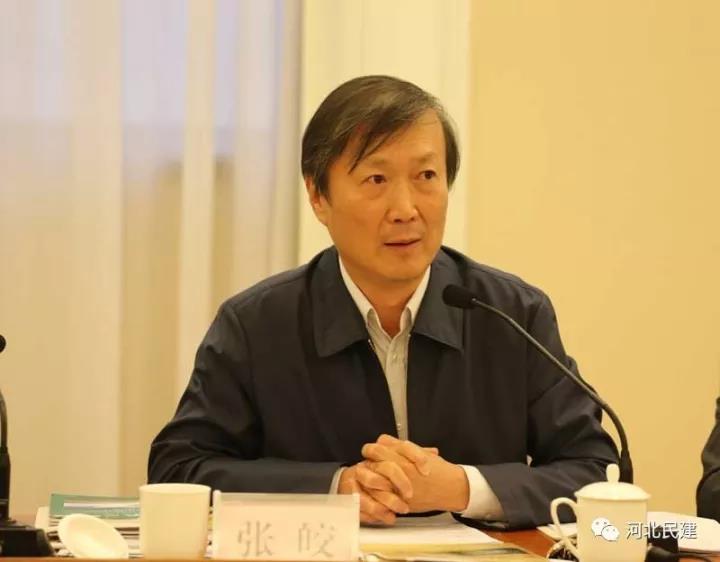 民建中央宣傳部長張皎應邀到會并作講話.jpg