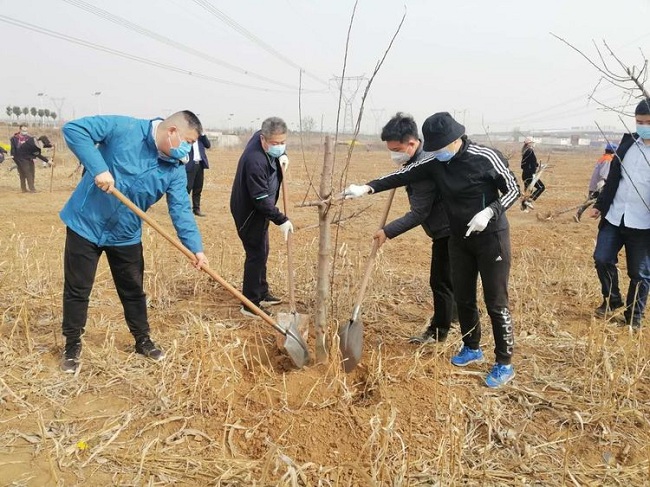 民建復興區基層委員助力綠美復興建設-3-1.jpg