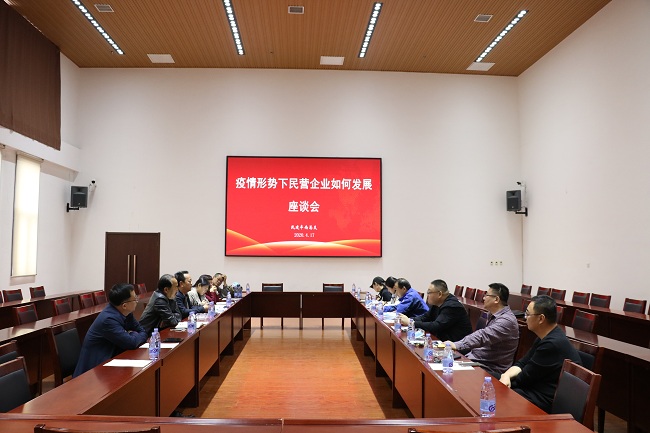 民建唐山市委豐南總支舉辦“疫情形勢下民營企業如何健康發展”座談會-1.jpg