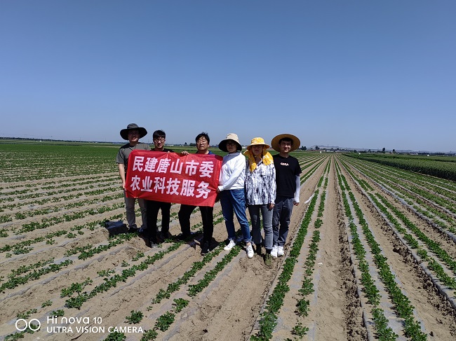 民建唐山市委農業總支農科院支部開展科技助農活動-1.jpg