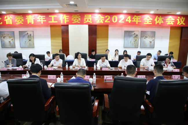 民建河北省委青年工作委員會召開2024年全體會議 (2).jpg