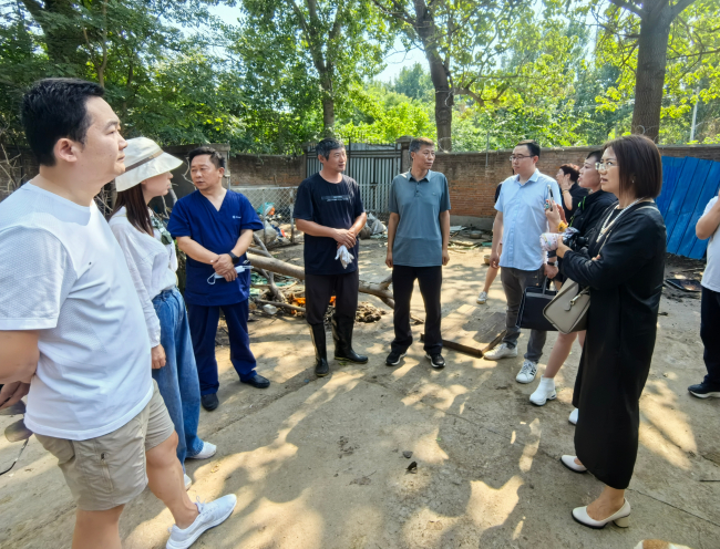 20240709民建保定市委東風支部、中關村支部、新階層一支部圍繞保定流浪動物的現狀聯合開展專題調研2 (2).jpg