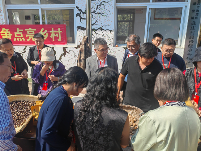 民建會員參加海港區(qū)政協(xié)組織的助力鄉(xiāng)村振興新場景調(diào)研活動 (2).jpg
