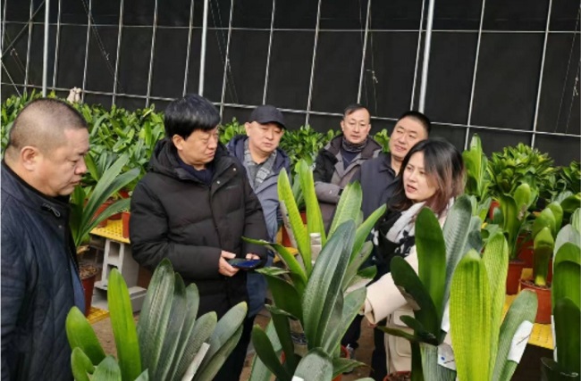 民建承德市委發揮孵化器作用助推農業產業高質量發展(2)-1.jpg
