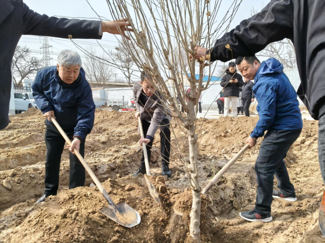 民建衡水市委聯合多支部開展義務植樹活動 助力鄉村振興與生態建設3.jpg