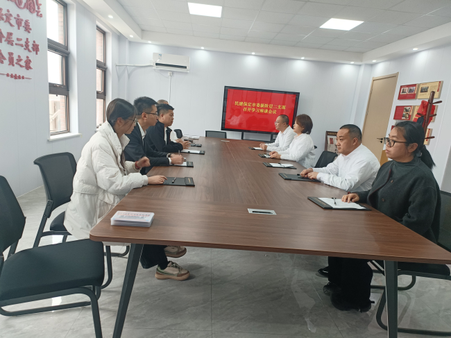 20250313民建保定市委新階層二支部召開學習《政府工作報告》專題研討會 (2).jpg