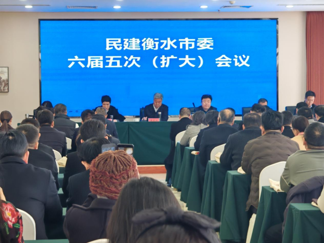 民建衡水市委召開2024年度工作總結表彰會暨新會員培訓會 (2).jpg