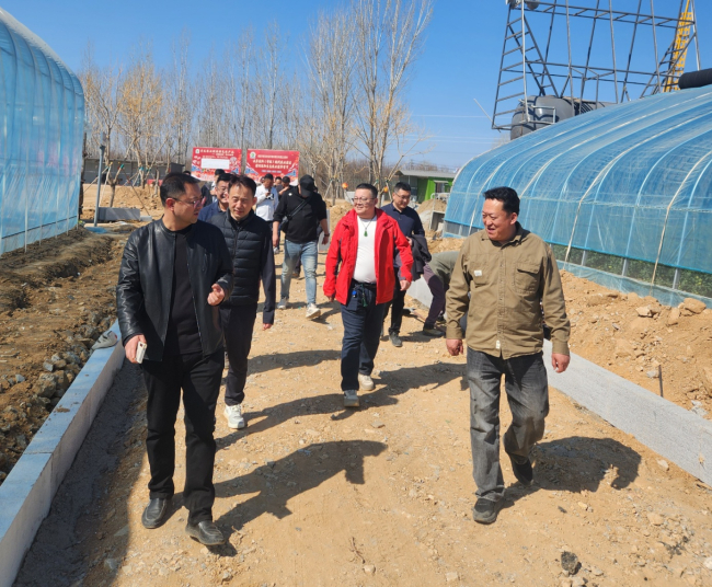 20250325民建保定市委新階層一支部、復興支部聯(lián)合開展專題調(diào)研活動2.jpg