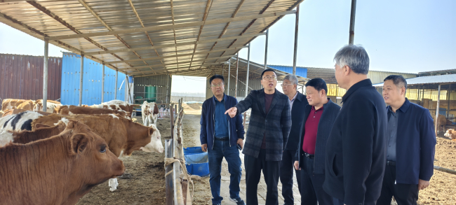民建衡水市委開展“實干早爭春  鄉村振興行”主題調研活動3.jpg