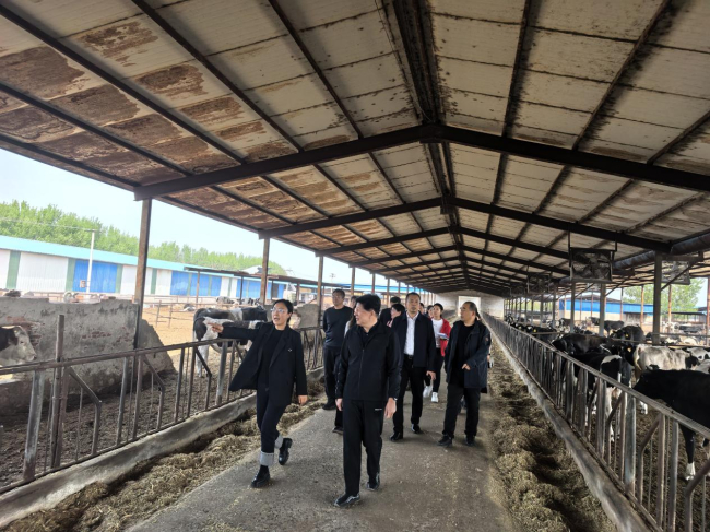 民建河北省委副主委胡世寧赴會(huì)員企業(yè)走訪調(diào)研.jpg