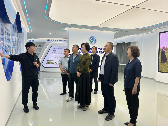 民建河北省委副主委武云秀出席民建滄州市委“畢業(yè)季?民建百企進(jìn)高校”招聘活動(dòng)4 (2).jpg